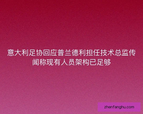 意大利足协回应普兰德利担任技术总监传闻称现有人员架构已足够