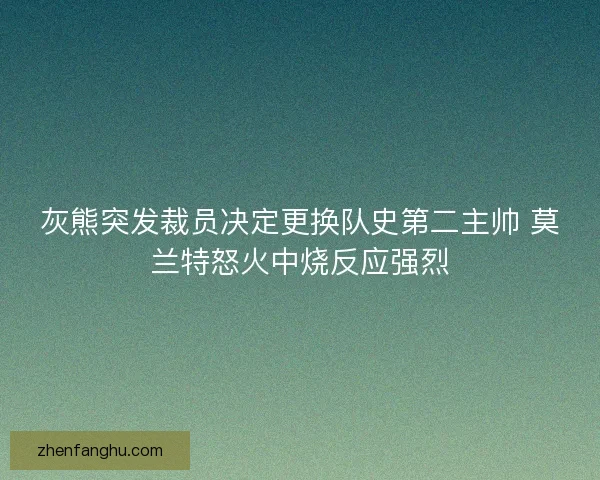 灰熊突发裁员决定更换队史第二主帅 莫兰特怒火中烧反应强烈