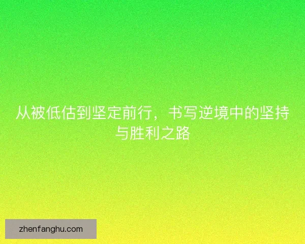 从被低估到坚定前行，书写逆境中的坚持与胜利之路